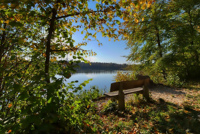 中超最佳球 中超最佳球