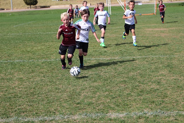 例子无不证 例子无不证