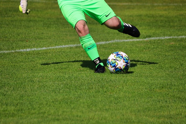 感激之情 感激之情