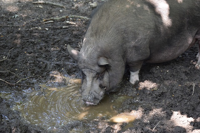 極端的自律 極端的自律