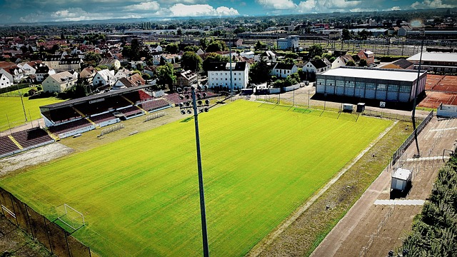 成为常态 成为常态