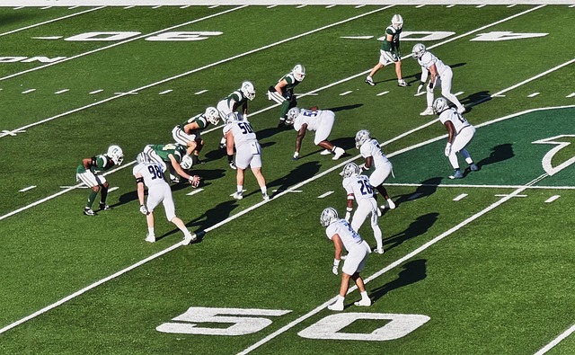 欢欣鼓舞 欢欣鼓舞