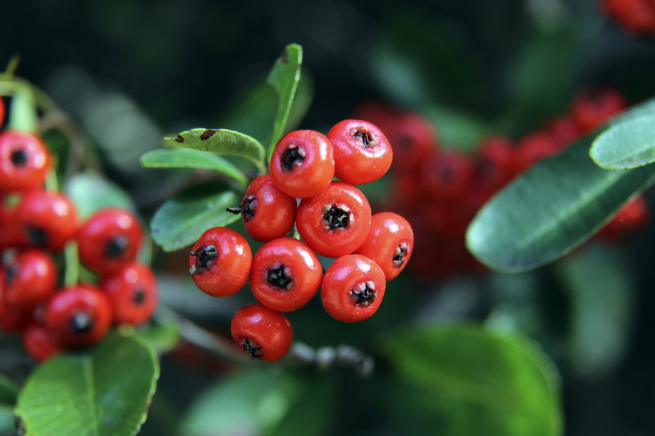 上風口浪尖 上風口浪尖